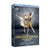 Ashton Collection Volume 2 DVD (The Royal Ballet)
