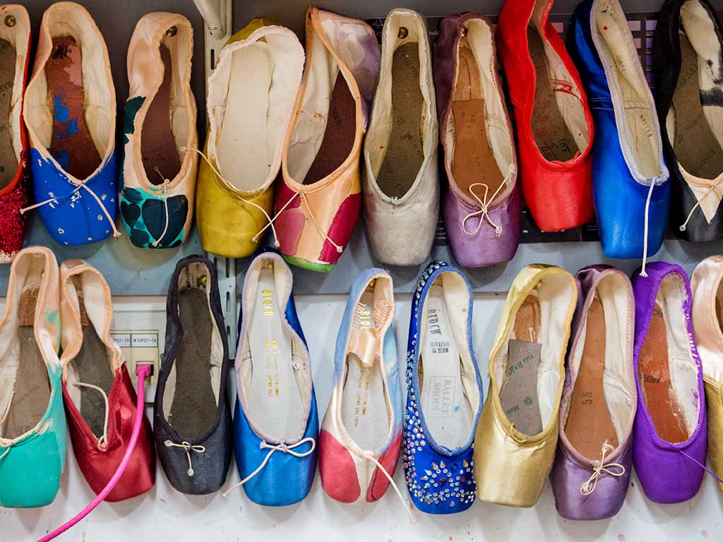 Ballet Shoe Collection
