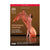 Ashton: Les Patineurs / Divertissements / Scènes de ballet DVD (The Royal Ballet)